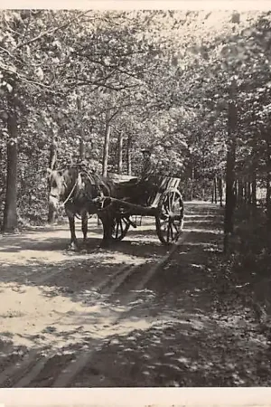 Tani Oisterwijk Heisteeg met paard en wagen 1942 Type fotokaart HC9312