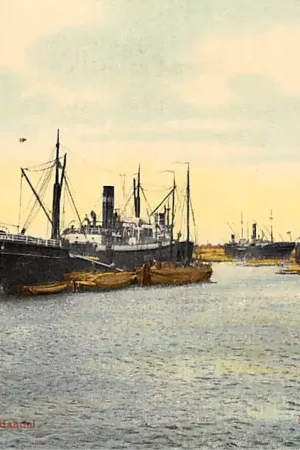 Zaandam Houthaven met binnenvaart schepen Scheepvaart Tulp HC8747 Premium