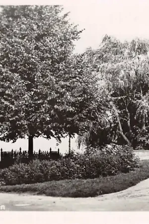 Nowość Schoonhoven Plantsoen HC8607