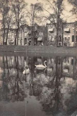Kup teraz Groningen Fotokaart Zwanen in de gracht HC8590