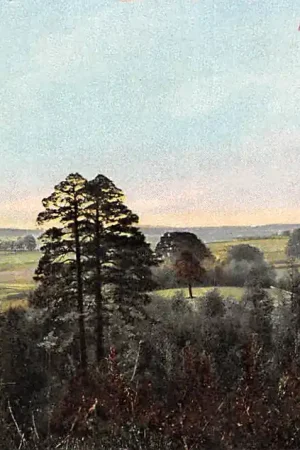 Autentyczny Arnhem Panorama van af de Steenentafel Militair verzonden 1915 HC8298