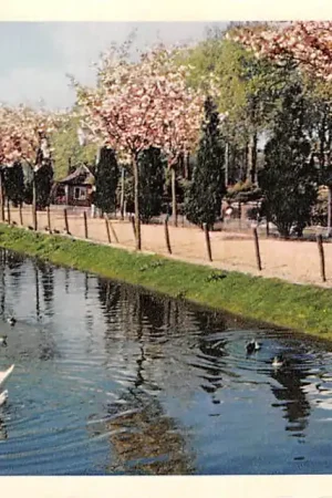 Ekspresowa dostawa Alphen aan den Rijn Vogelpark Avifauna Zoo Dieren 1961 HC8259