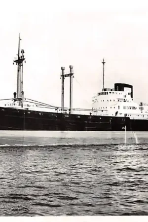 Amsterdam M.S. Amstelkroon N.V. Reederij Amsterdam 1956 Scheepvaart schepen HC7690 Popularny