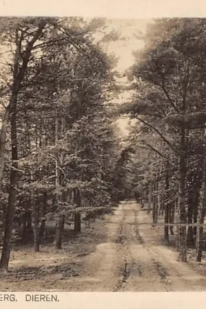 Bezpieczna płatność Dieren Oostlaan b.d. Geitenberg HC7264