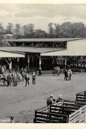 Autentyczny Gouda Nieuwe Veemarkt Varkenmarkt Markt HC6699