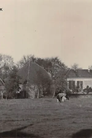 Ostatnia szansa West-Graftdijk Fotokaart Hervormde Kerk en koeien in de wei Alkmaar Schermer HC6694
