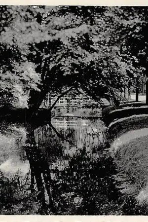 Premium Wassenaar In het Park De Kievit 1936 's-Gravenhage HC6873