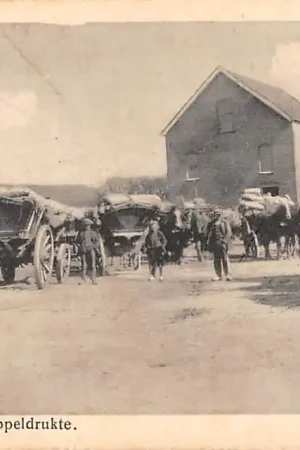 Popularny Kamperland Aardappeldrukte Boeren met paard en wagen Noord-Beveland HC6552