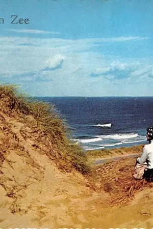 Ekspresowa dostawa Noordwijk aan Zee Duinen en strand HC6509