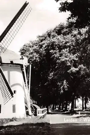 Wysoka jakość Leiden Watermolen a\\/d Kanaalweg 1964 Molen HC6499
