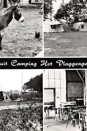 Ermelo Groeten uit Camping Het Plaggengat Hosterenweg 17 HC6375 Darmowa dostawa