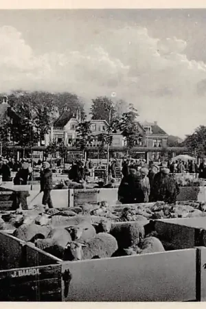 Sneek Veemarkt Schapen Markt HC6233 Najlepsza cena