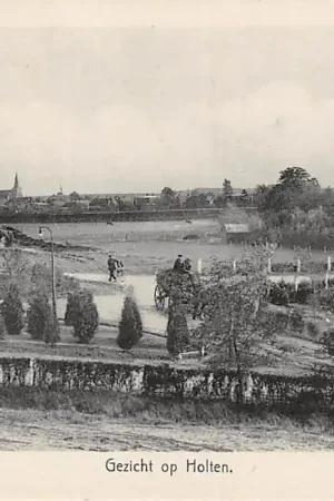 Tani Holten Gezicht op Holten met molen Paard en wagen HC6176