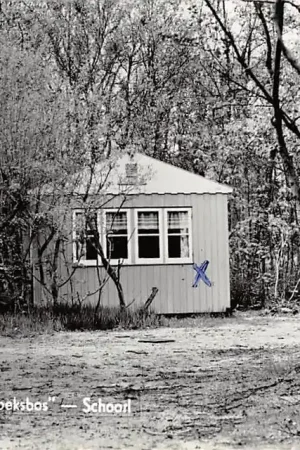 Schoorl Groeten uit 't Koekoeksbos 1963 HC5974 Tani