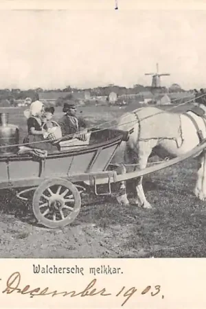 Premium Middelburg Walcherse Melkkar Molen Paard en wagen 1903 HC5231