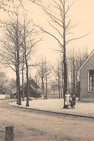 Nowość Winterswijk O.L. School te Meddo HC5226