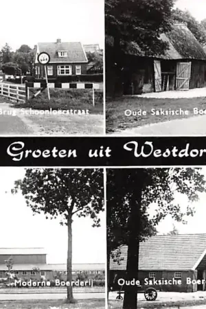 Westdorp Groeten uit Vierluik Borger Odoorn HC4920 Szybka dostawa