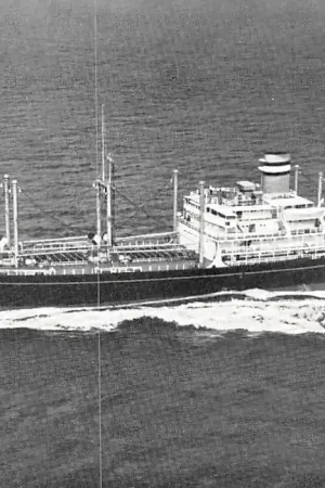 Szybka dostawa Holland America Line s.s. Alblasserdyk Scheepvaart Schepen Rotterdam HC4779