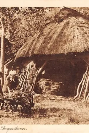 Noord-Brabant Dorpsleven Boer en boerin met kruiwagen Klederdracht Vintage HC4725 Zamów teraz