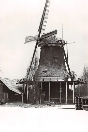 Darmowa dostawa Zaandam Zaanse Schans Oliemolen De Ooievaar in de sneeuw Molen HC4590