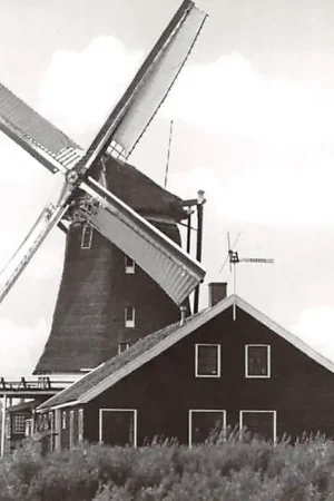 Ostatnia szansa Zaandam Oliemolen De Zoeker Molen HC4581