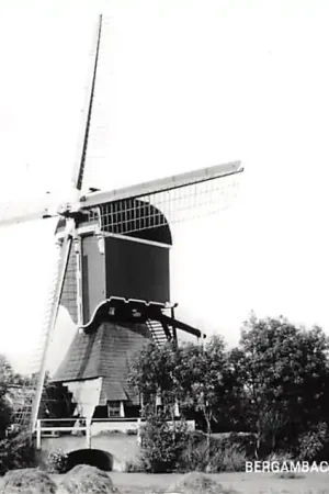 Bergambacht Wipmolen de Bachtenaar Molen HC4573 Premium