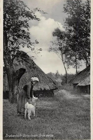 Rabat Noord-Brabant Dorpsleven In de weide Klederdracht Gemert 1929 Vintage HC4528