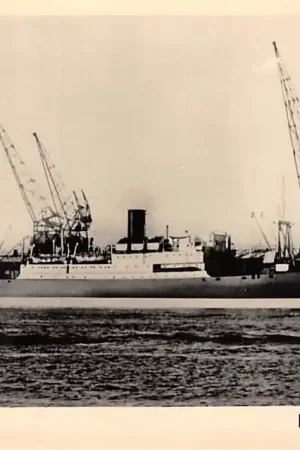 Rotterdam M.S.. Kora Baroe 1947 N.V. Rotterdamsche Lloyd Scheepvaart Schepen HC4491 Zamów teraz