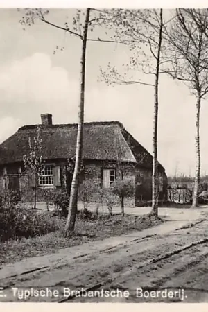 Noord-Brabant Dorpsleven Brabantsche Folklore Typische Brabantsche Boerderij HC4169 Szybka dostawa