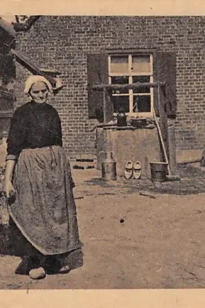 Noord-Brabant Dorpsleven Moei-jeg komt ze met der kruiwaogel thuis Vintage Klederdracht HC4086 Szybka dostawa