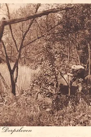 Noord-Brabant Dorpsleven 1921 Vrouw in klederdracht Vintage HC3576 Szybka dostawa