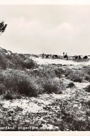 Gasselte Mooi Drenthe Drouwenerzand ongerepte natuur HC3378 Rabat