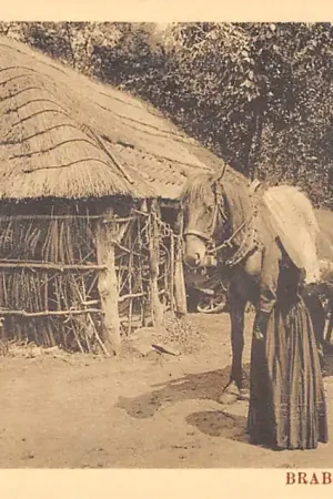 Noord-Brabant Dorpsleven Terug van den arbeid Paard en wagen Klederdracht Vintage HC3437 Ekspresowa dostawa