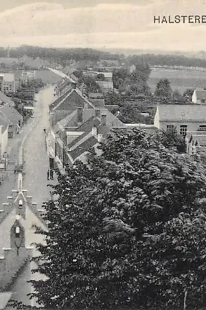 Popularny Halsteren Panorama HC3134