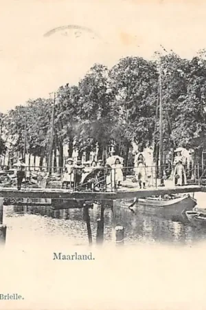 Autentyczny Brielle Maarland Type Vivat HC3311