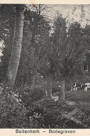 Najlepsza cena Bodegraven Buitenkerk Boerderij met koeien en paard en wagen HC3253