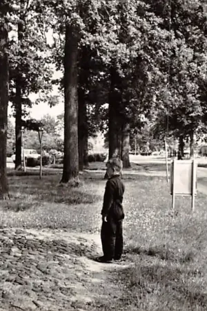 Kup teraz Vledder Oorlogsgedenkteken Monument HC2834