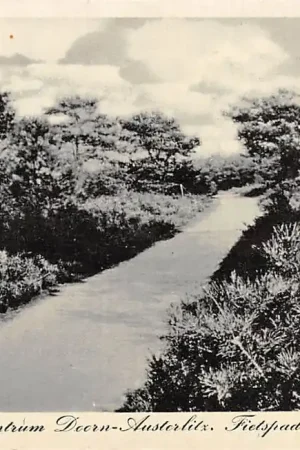 Doorn - Austerlitz Kampeercentrum Fietspad door kamp Camping HC2623 Oferta limitowana