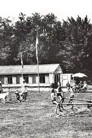 Dalfsen 1963 Speelweide met kantine en terras Camping De Boskamp HC2374 Szybka dostawa