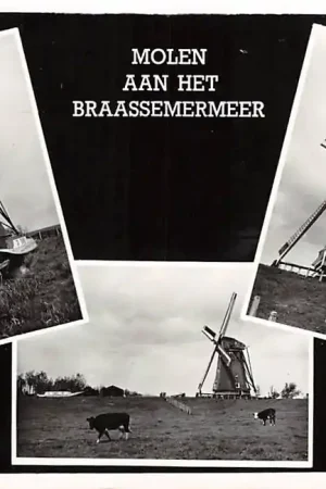 Oude Wetering Molen aan het Braassemermeer 1957 HC2589 Premium
