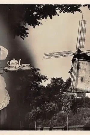 Rhenen Groeten uit De Panoramamolen 1956 Molen Reclame HC2520 Wyprzedaż
