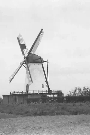 Oud-Vossemeer Molen Foto van oudere opname Tholen HC2210 Wysoka jakość