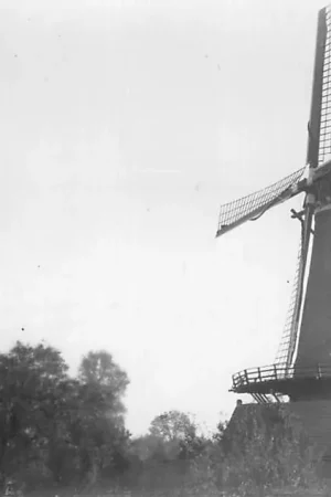 Popularny Breskens Molen (in 1940 verwoest) Foto van eerdere opname HC2207