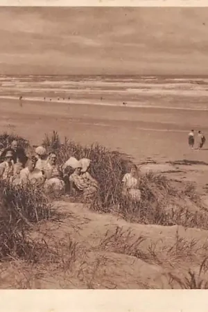 Tani Ameland Nes 1933 Duinen Strand en Zee HC2160