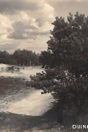 Appelscha Fotokaart Duinen HC1892 Premium