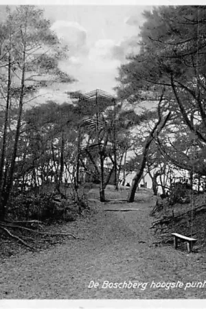 Oryginalny Appelscha 1934 De Boschberg hoogste punt van Friesland Reclame Duinen-Zathe HC1888