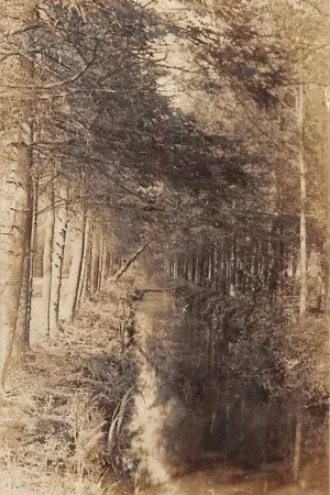 Haarlo Fotokaart Wollinksveld 1914 HC1548 Oferta