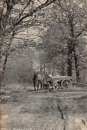 Popularny Onbekend 'Mooi Nederland' Boer met paard en wagen 1940 HC1544