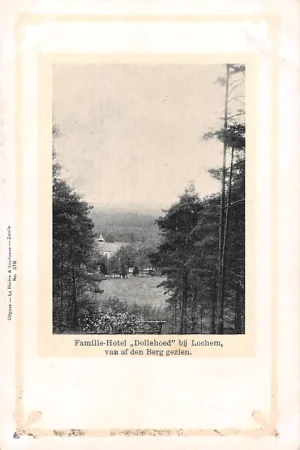 Premium Lochem Familie - Hotel Dollehoed van af den Berg gezien HC1420