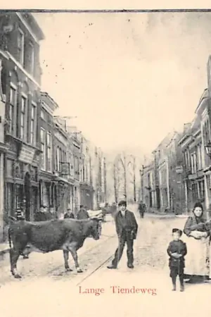 Gouda Lange Tiendeweg met koe 1902 HC17116 Darmowa dostawa